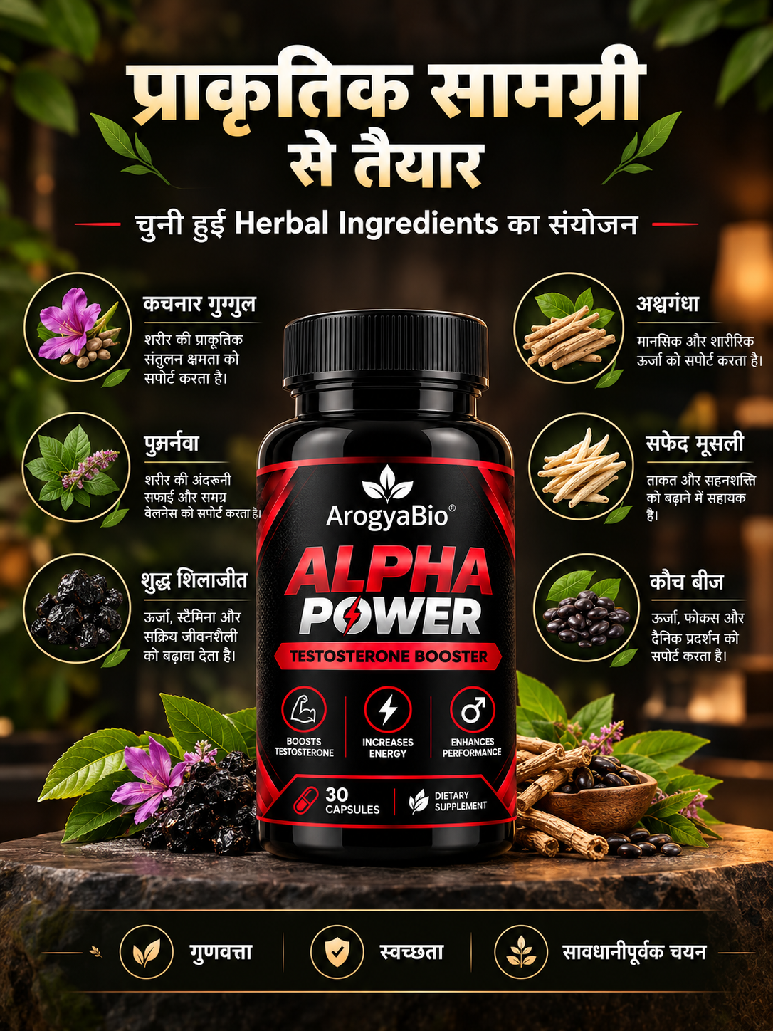 ALPHA POWER Natural Herbal Energy Poster 2